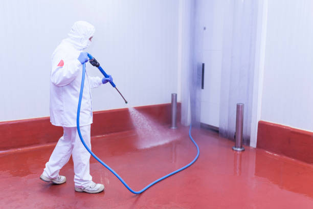 Trusted Central, SC Pressure Washing Experts